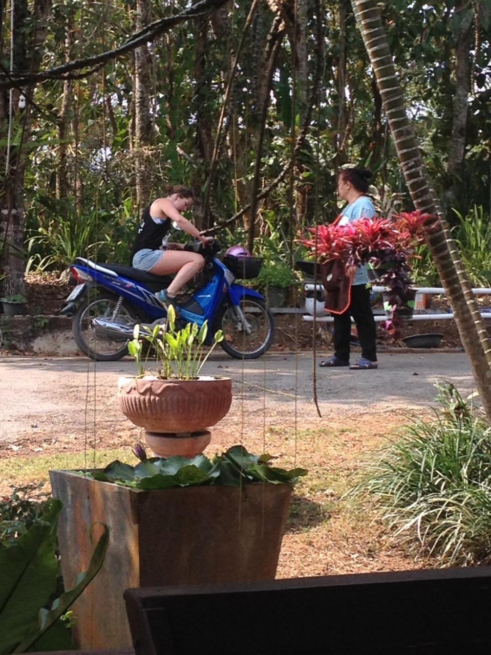 Mae Yao Resort Chiang Rai Eksteriør bilde